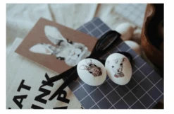 Nuukk Kinder Tattoos "Tierfreunde" -Babybekleidungs geschäft 52ef40 1ff37ff72f57466eb5b965f4e5bcfbd4 mv2